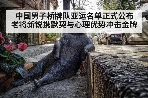 中国男子桥牌队亚运名单正式公布 老将新锐携默契与心理优势冲击金牌