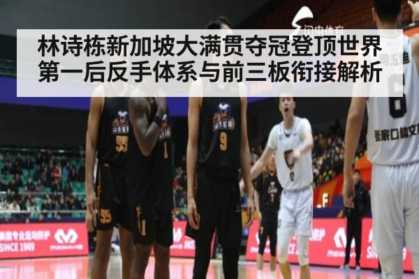 林诗栋新加坡大满贯夺冠登顶世界第一后反手体系与前三板衔接解析